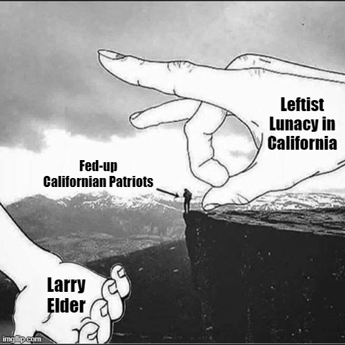 Life Me Music | Leftist Lunacy in California Larry Elder Fed-up Californian Patriots | image tagged in life me music | made w/ Imgflip meme maker