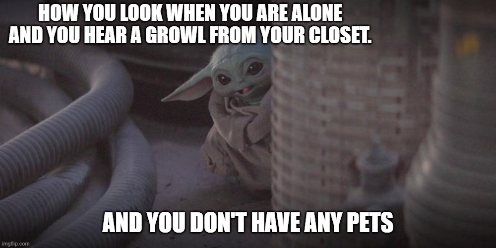 Baby Yoda Peek | HOW YOU LOOK WHEN YOU ARE ALONE AND YOU HEAR A GROWL FROM YOUR CLOSET. AND YOU DON'T HAVE ANY PETS | image tagged in baby yoda peek | made w/ Imgflip meme maker