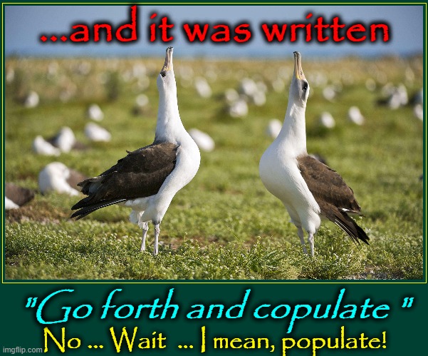 The Dance of Love | ...and it was written; "Go forth and copulate "; No ... Wait  ... I mean, populate! | image tagged in vince vance,malaprop,memes,birds and bees,birds,mating | made w/ Imgflip meme maker