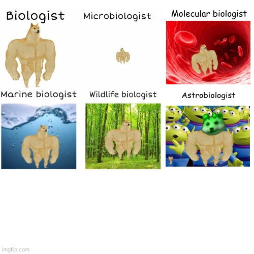 smart doges | Molecular biologist; Astrobiologist | image tagged in doge,memes,funny memes,meme | made w/ Imgflip meme maker