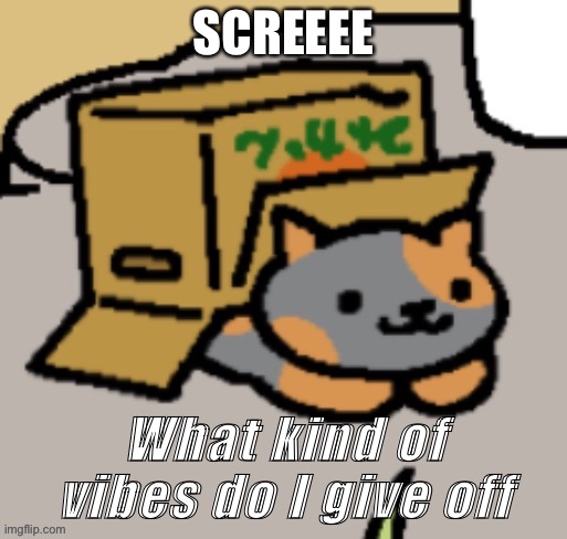 mod not:bitch vibes | SCREEEE; What kind of vibes do I give off | image tagged in ram3n in a box | made w/ Imgflip meme maker