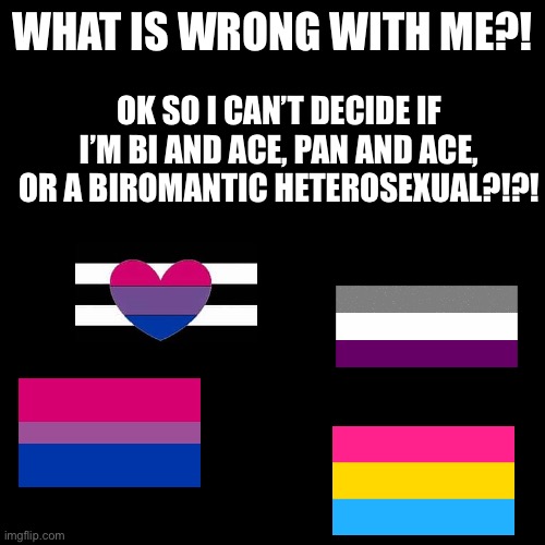 Seriously I can’t decide anything! And ace and heterosexual are so different idk. I kinda feel more ace tho… | WHAT IS WRONG WITH ME?! OK SO I CAN’T DECIDE IF I’M BI AND ACE, PAN AND ACE, OR A BIROMANTIC HETEROSEXUAL?!?! | image tagged in memes,blank transparent square,help me,what is this,lgbtq | made w/ Imgflip meme maker