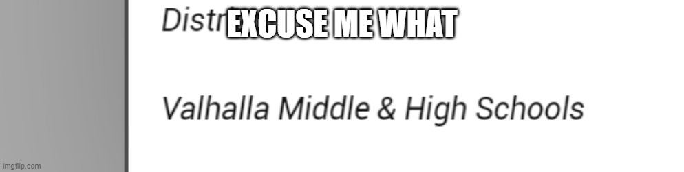EXCUSE ME WHAT | made w/ Imgflip meme maker