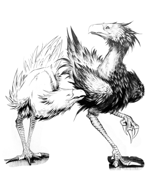 Two Chocobos Blank Meme Template