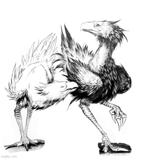 Two Chocobos | image tagged in two chocobos | made w/ Imgflip meme maker