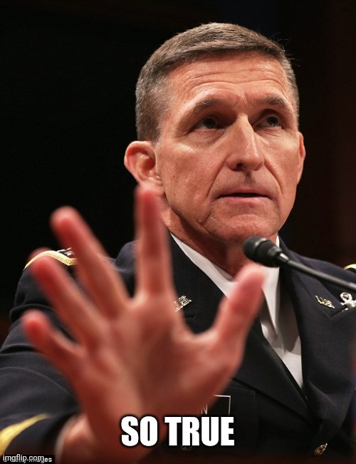 Michael Flynn | SO TRUE | image tagged in michael flynn | made w/ Imgflip meme maker