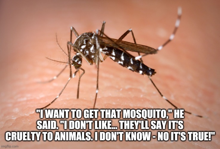 mosquito  | "I WANT TO GET THAT MOSQUITO," HE SAID. "I DON'T LIKE... THEY'LL SAY IT'S CRUELTY TO ANIMALS. I DON'T KNOW - NO IT'S TRUE!" | image tagged in mosquito | made w/ Imgflip meme maker