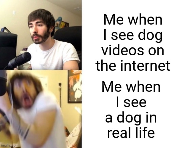 That's me ... |  Me when I see dog videos on the internet; Me when I see a dog in real life | image tagged in penguinz0 | made w/ Imgflip meme maker