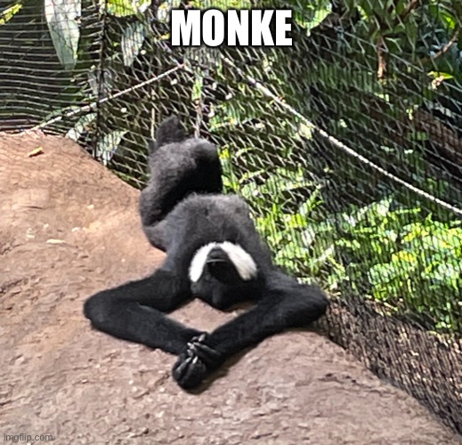 MONKE | made w/ Imgflip meme maker