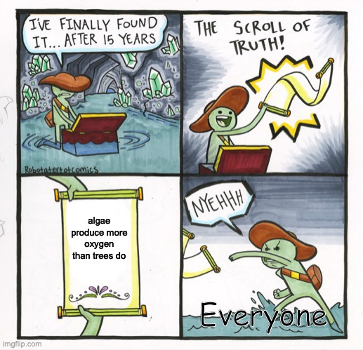 The Scroll Of Truth | algae produce more oxygen than trees do; Everyone | image tagged in memes,the scroll of truth | made w/ Imgflip meme maker