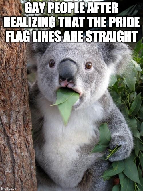 Surprised Koala | GAY PEOPLE AFTER REALIZING THAT THE PRIDE FLAG LINES ARE STRAIGHT | image tagged in memes,surprised koala | made w/ Imgflip meme maker