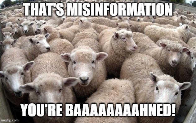 sheeple | THAT'S MISINFORMATION; YOU'RE BAAAAAAAAHNED! | image tagged in sheeple | made w/ Imgflip meme maker