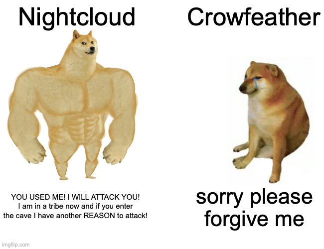 Buff Doge vs. Cheems Meme | Nightcloud; Crowfeather; YOU USED ME! I WILL ATTACK YOU! I am in a tribe now and if you enter the cave I have another REASON to attack! sorry please forgive me | image tagged in memes,buff doge vs cheems | made w/ Imgflip meme maker