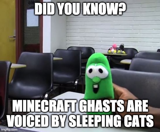 fun facts | DID YOU KNOW? MINECRAFT GHASTS ARE VOICED BY SLEEPING CATS | image tagged in did you know sml version | made w/ Imgflip meme maker