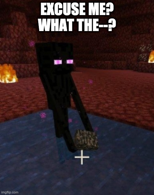 dafudge | EXCUSE ME? WHAT THE--? | image tagged in enderman holding bedrock in water in the nether | made w/ Imgflip meme maker