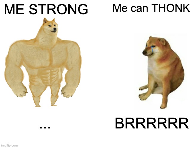 ME CAN THONK | ME STRONG; Me can THONK; ... BRRRRRR | image tagged in memes,buff doge vs cheems | made w/ Imgflip meme maker