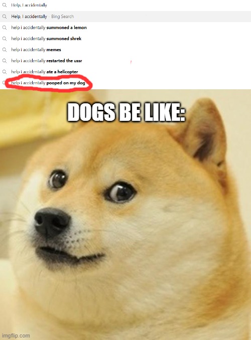 Dogs be like | DOGS BE LIKE: | image tagged in memes,doge | made w/ Imgflip meme maker