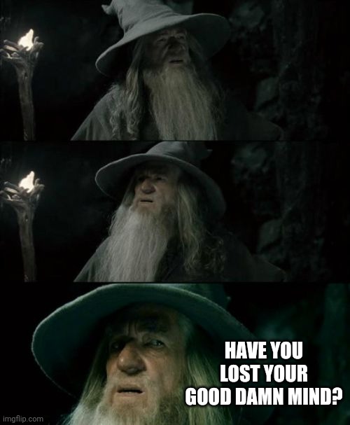 Confused Gandalf Meme | HAVE YOU LOST YOUR GOOD DAMN MIND? | image tagged in memes,confused gandalf | made w/ Imgflip meme maker