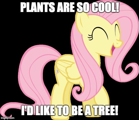 Fluttertree! |  PLANTS ARE SO COOL! I'D LIKE TO BE A TREE! | image tagged in happy fluttershy,memes,my little pony,fluttershy,tree,fluttertree | made w/ Imgflip meme maker