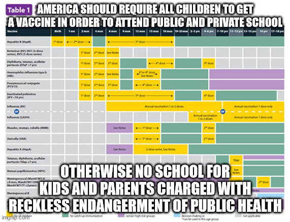 Manadate Vaccines to attend Public and Private Schools in the USA | AMERICA SHOULD REQUIRE ALL CHILDREN TO GET A VACCINE IN ORDER TO ATTEND PUBLIC AND PRIVATE SCHOOL; OTHERWISE NO SCHOOL FOR KIDS AND PARENTS CHARGED WITH RECKLESS ENDANGERMENT OF PUBLIC HEALTH | image tagged in childhood ruined,vaccines,polio,chicken pox,children playing | made w/ Imgflip meme maker