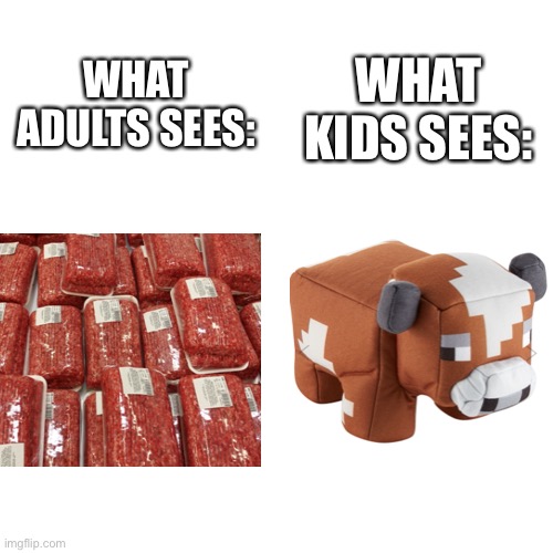 What adult sees vs what kid sees | WHAT KIDS SEES:; WHAT ADULTS SEES: | image tagged in memes | made w/ Imgflip meme maker