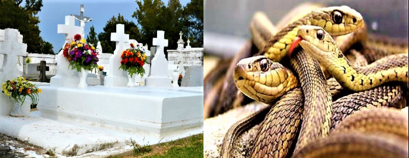 High Quality whitewashed tombs and vipers Mt 23 Blank Meme Template