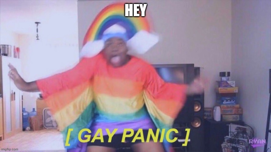 Gay panic | HEY | image tagged in gay panic | made w/ Imgflip meme maker