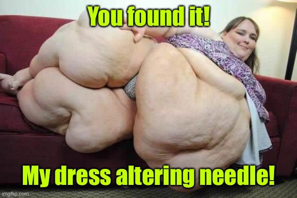 fat girl | You found it! My dress altering needle! | image tagged in fat girl | made w/ Imgflip meme maker