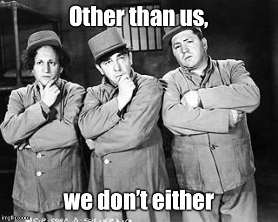 Three Stooges Thinking | Other than us, we don’t either | image tagged in three stooges thinking | made w/ Imgflip meme maker
