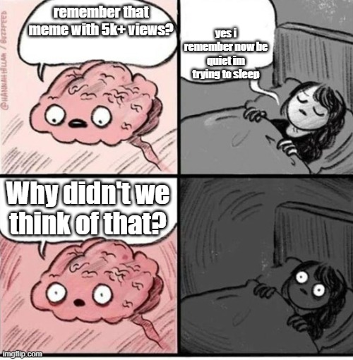 Trying to sleep | yes i remember now be quiet im trying to sleep; remember that meme with 5k+ views? Why didn't we think of that? | image tagged in trying to sleep | made w/ Imgflip meme maker