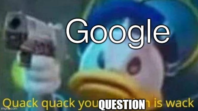 quack quack your opinion is wack | Google QUESTION | image tagged in quack quack your opinion is wack | made w/ Imgflip meme maker