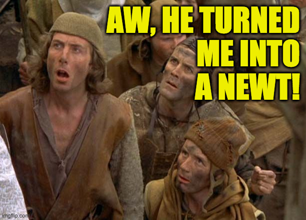 AW, HE TURNED
ME INTO
A NEWT! | made w/ Imgflip meme maker