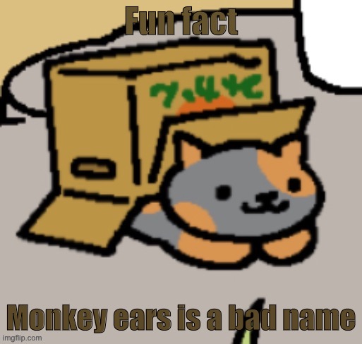 I don’t like it dmskskskskdmksskskkskskwkskskskss | Fun fact; Monkey ears is a bad name | image tagged in ram3n in a box | made w/ Imgflip meme maker