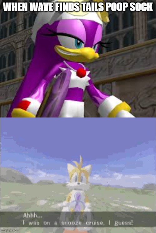 Smirking Beauty | WHEN WAVE FINDS TAILS POOP SOCK | image tagged in wave the swallow,tails the fox,sonic adventure,sonic riders | made w/ Imgflip meme maker
