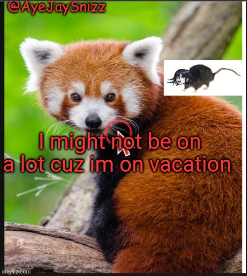 AyeJaySnizz Red Panda Announcement | I might not be on a lot cuz im on vacation | image tagged in ayejaysnizz red panda announcement | made w/ Imgflip meme maker