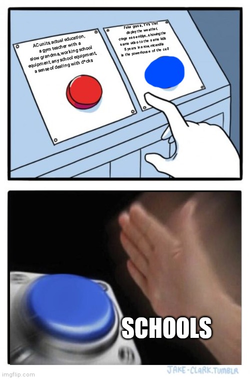 School investments | Fake grass, TV's that display the weather, cringe assemblys, showing the same video to the same kids 5 years in a row, micandria is the powerhouse of the cell; AC units, actual education, a gym teacher with a slow grandma, working school equipment, any school equipment, a sense of dealing with d*cks; SCHOOLS | image tagged in memes,two buttons | made w/ Imgflip meme maker
