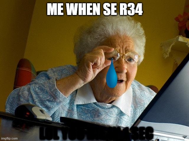 Grandma Finds The Internet Meme | ME WHEN SE R34; LOL YOU DIE IN 1 SEC | image tagged in memes,grandma finds the internet | made w/ Imgflip meme maker