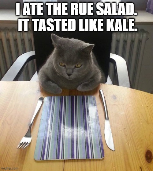 Hungry Cat Etiquette | I ATE THE RUE SALAD.  IT TASTED LIKE KALE. | image tagged in hungry cat etiquette | made w/ Imgflip meme maker