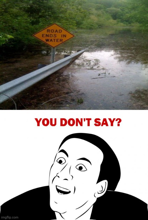 Road ends in water sign | image tagged in memes,you don't say,funny signs,road,water,meme | made w/ Imgflip meme maker