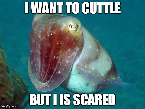 I WANT TO CUTTLE BUT I IS SCARED | image tagged in scared cuttlefish | made w/ Imgflip meme maker