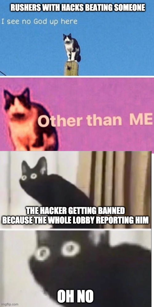 RUSHERS WITH HACKS BEATING SOMEONE; THE HACKER GETTING BANNED BECAUSE THE WHOLE LOBBY REPORTING HIM; OH NO | image tagged in hail pole cat | made w/ Imgflip meme maker