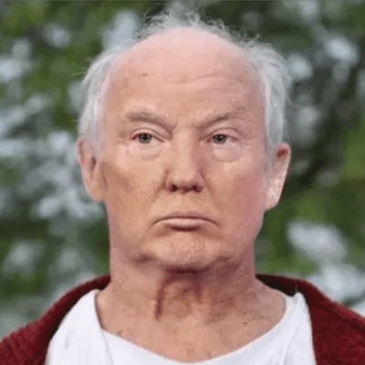 Old Man Donald Trump Blank Meme Template