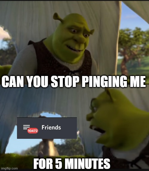 To many servers! | CAN YOU STOP PINGING ME; FOR 5 MINUTES | image tagged in can you stop talking,discord,ping | made w/ Imgflip meme maker