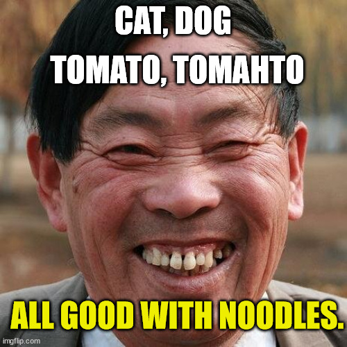 CAT, DOG TOMATO, TOMAHTO ALL GOOD WITH NOODLES. | made w/ Imgflip meme maker