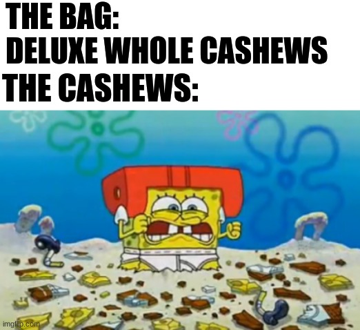 THE BAG: 
DELUXE WHOLE CASHEWS; THE CASHEWS: | image tagged in spongebob | made w/ Imgflip meme maker
