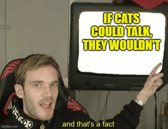 And that's a fact | IF CATS COULD TALK, THEY WOULDN'T | image tagged in and that's a fact | made w/ Imgflip meme maker