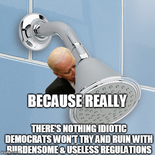 Democrats ruin life | BECAUSE REALLY; THERE'S NOTHING IDIOTIC DEMOCRATS WON'T TRY AND RUIN WITH BURDENSOME & USELESS REGULATIONS | image tagged in joe biden,democrats | made w/ Imgflip meme maker