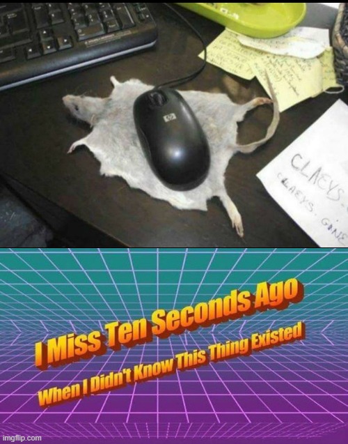 mousepad | image tagged in i miss ten seconds ago | made w/ Imgflip meme maker