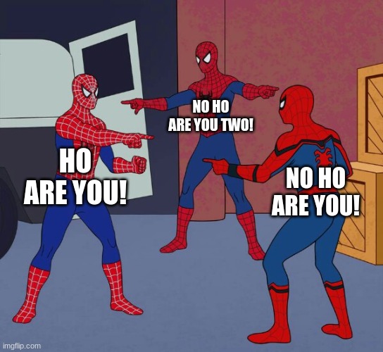 Spider Man Triple | NO HO ARE YOU TWO! HO ARE YOU! NO HO ARE YOU! | image tagged in spider man triple | made w/ Imgflip meme maker