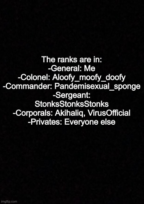 Blank  | The ranks are in:
-General: Me
-Colonel: Aloofy_moofy_doofy
-Commander: Pandemisexual_sponge
-Sergeant: StonksStonksStonks
-Corporals: Akihaliq, VirusOfficial
-Privates: Everyone else | image tagged in blank | made w/ Imgflip meme maker